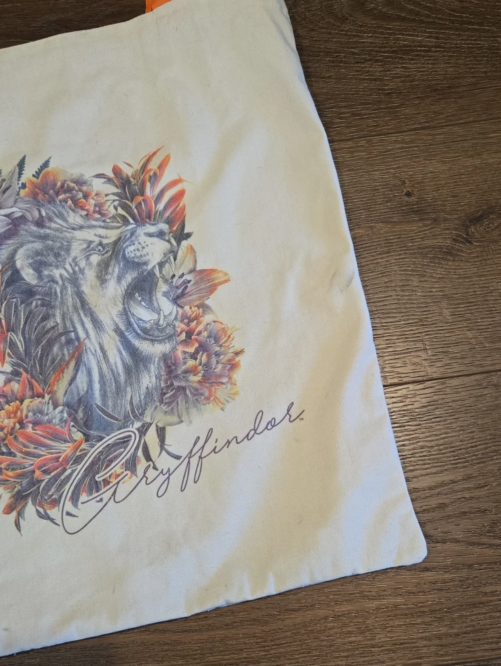 Wizarding World large canvas